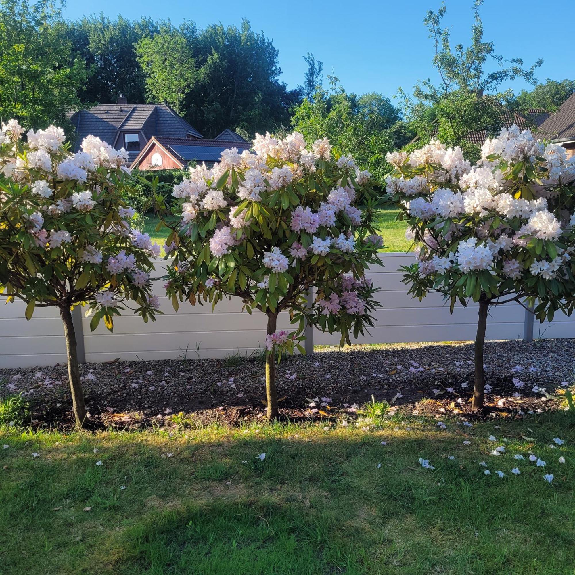 Ferienwohnung Meeresbrise Aventoft Exteriér fotografie